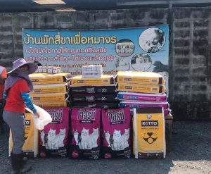 Donate food to stray dogs, Pathumthani